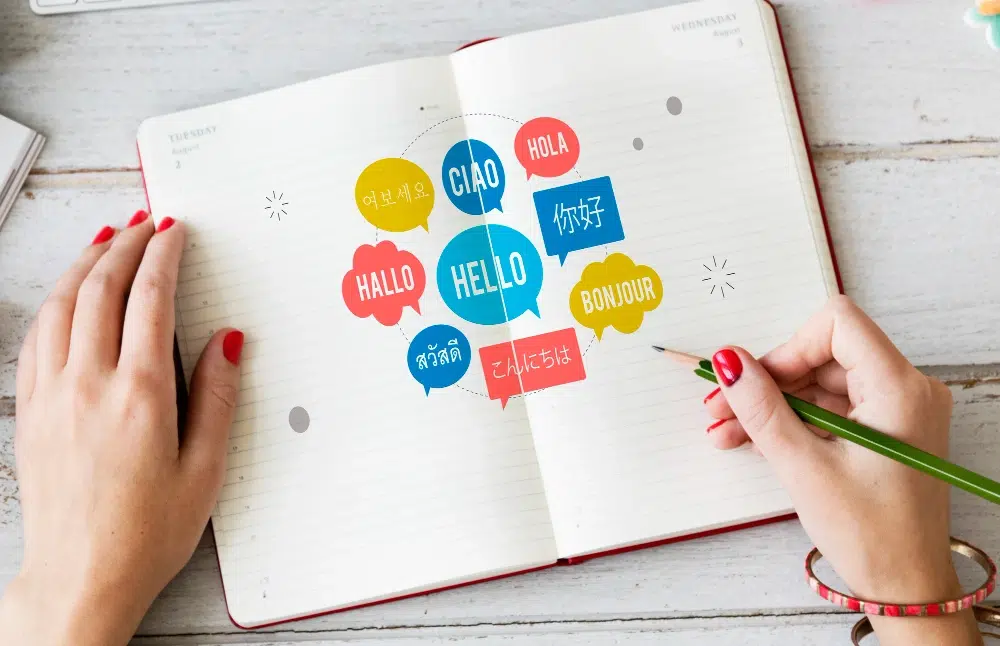 Hospitality translation | SACT