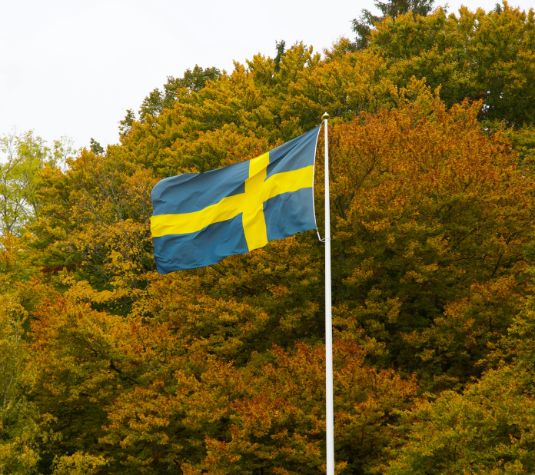 اللغة السويدية